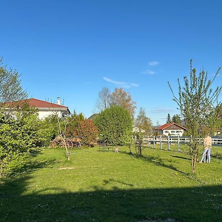 Black Horse Family Apartment - Barrierearm - Pfotenglueck - Familienzeit By Loewenherz Homes Stephanskirchen Zewnętrze zdjęcie